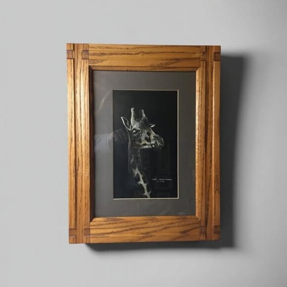 Original Scratchboard Giraffe Portrait by Carol Kehler-Hemdal (1985), Registered - Picture 9 of 14